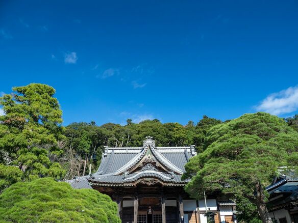 『鎌倉殿の13人』義円、範頼、全成…なぜか不運に?源頼朝の兄弟達の運命