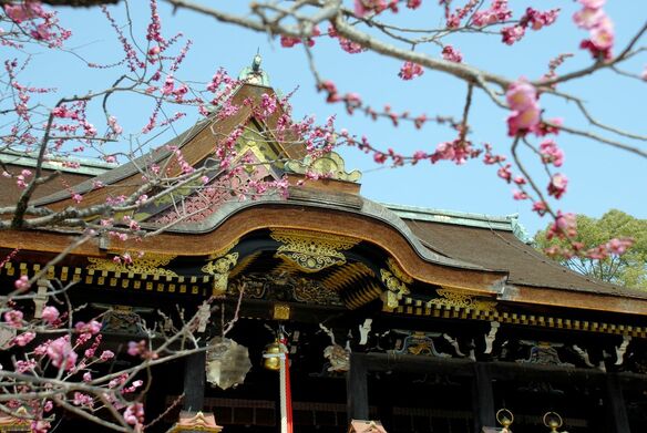 国宝の社殿から厄除けもあり「学問の神様」北野天満宮の見どころ