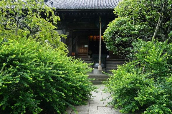 『鎌倉殿の13人』主人公・北条義時の前半生と、源頼朝との関係