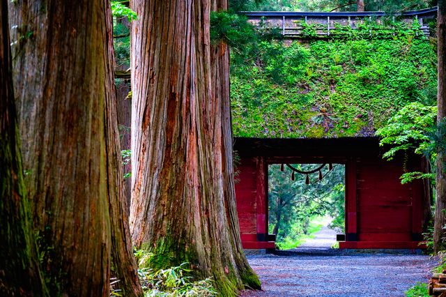 日本随一の聖地 あらゆるご利益が揃う 戸隠神社の五社巡り 日本の神社と神様を巡る旅 第2回 Jbpress Autograph 日本随一の聖地 あらゆるご利益が揃う 戸隠神社の五社巡り 日本の神社と神様を巡る旅 第2回 Jbpress Autograph