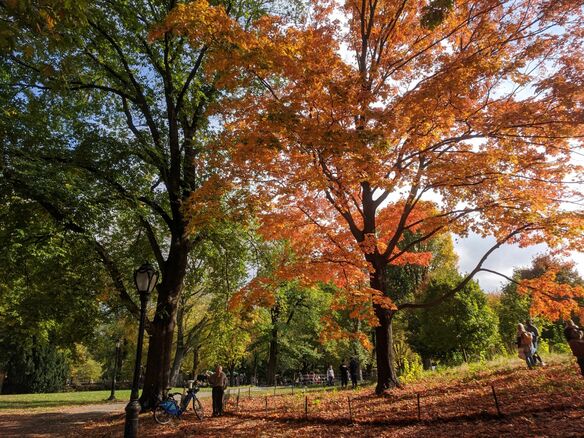 AUTUMN IN NEW YORK 2020