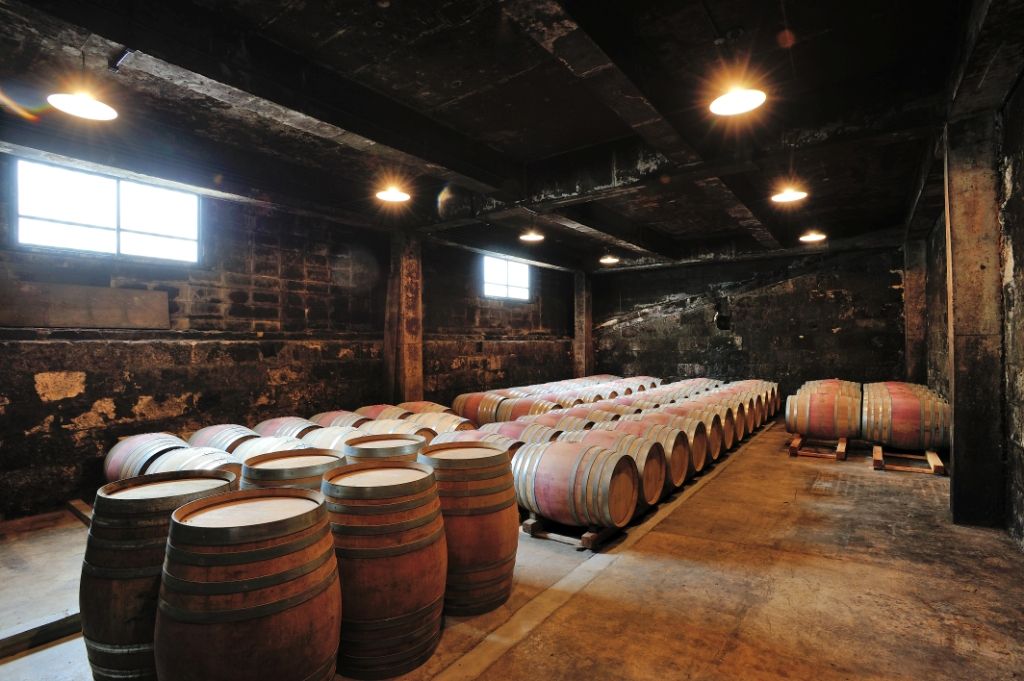 赤ワイン品種を生み出した「日本ワインの父」川上善兵衛の功績　日本ワインを造った人々（第3回）