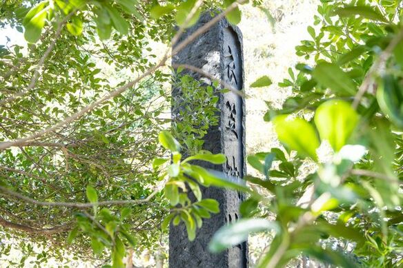 『鎌倉殿の13人』源頼朝を助けた三浦一族と、義澄・義村父子の生涯