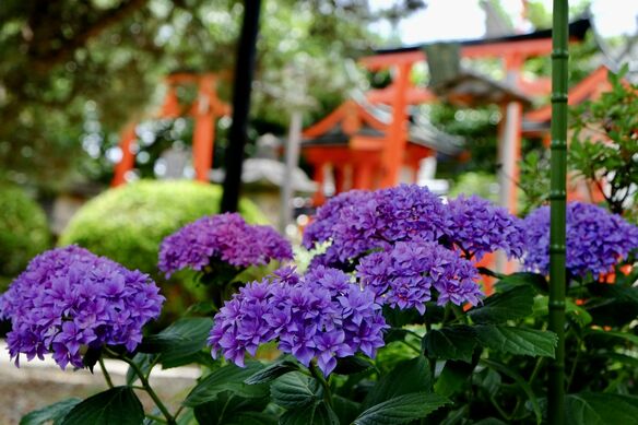 『鎌倉殿の13人』源頼朝の「懐刀」梶原景時の生涯と失脚の謎