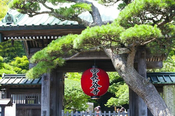 『鎌倉殿の13人』大江広元はどんな人?頼朝の知恵袋として幕府を支えた官人