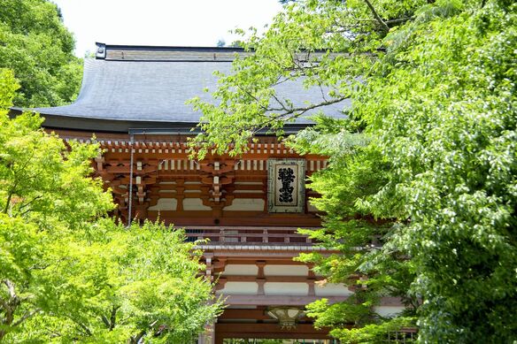 2022年は寅年!初詣にもおすすめ「虎」にまつわる神社とお寺