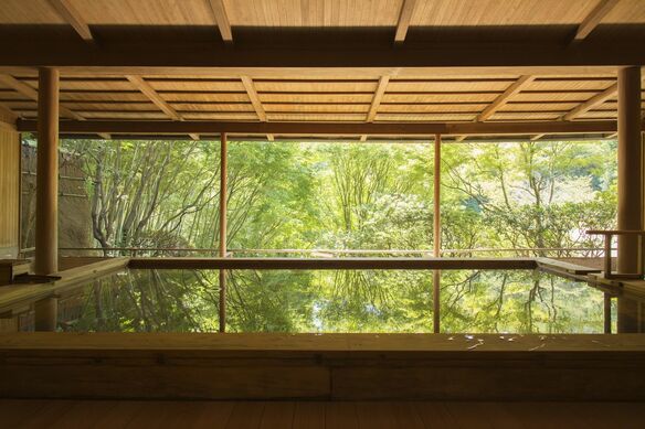 体感せよ!禅寺がプロデュースする驚きの現代アート