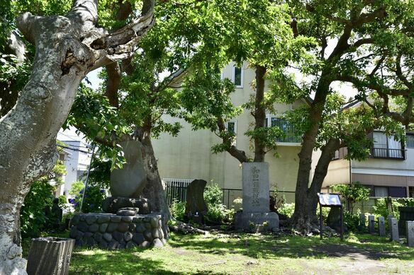 『鎌倉殿の13人』侍所別当・和田義盛の生涯と巴御前との行方