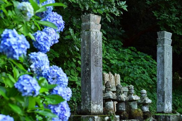 『鎌倉殿の13人』北条氏最大のライバル・比企能員の生涯と一族の運命