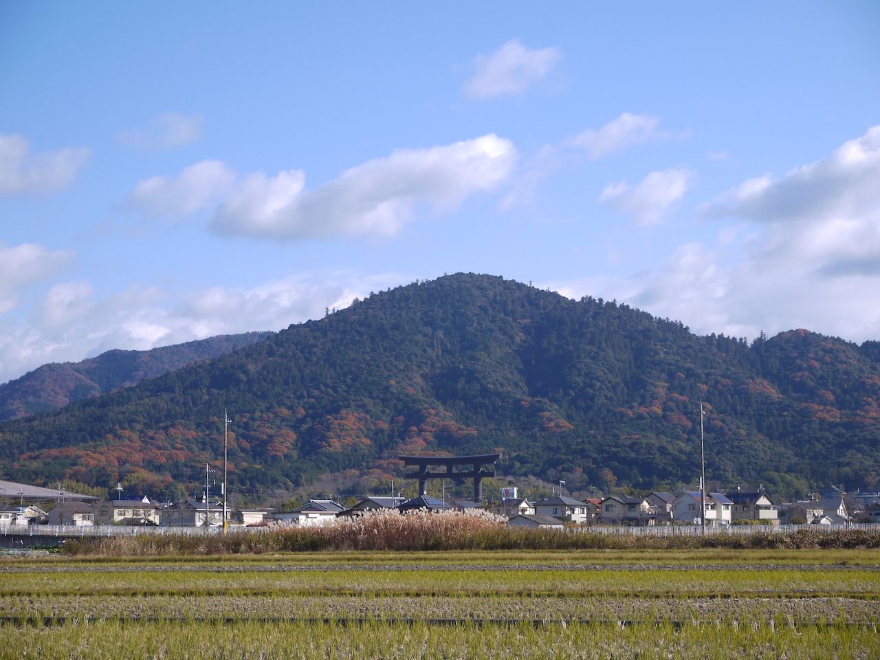 三輪山そのものがご神体！日本最古の神社のひとつ、大神神社の謎 日本の神社と神様を巡る旅（第4回） | JBpress autograph