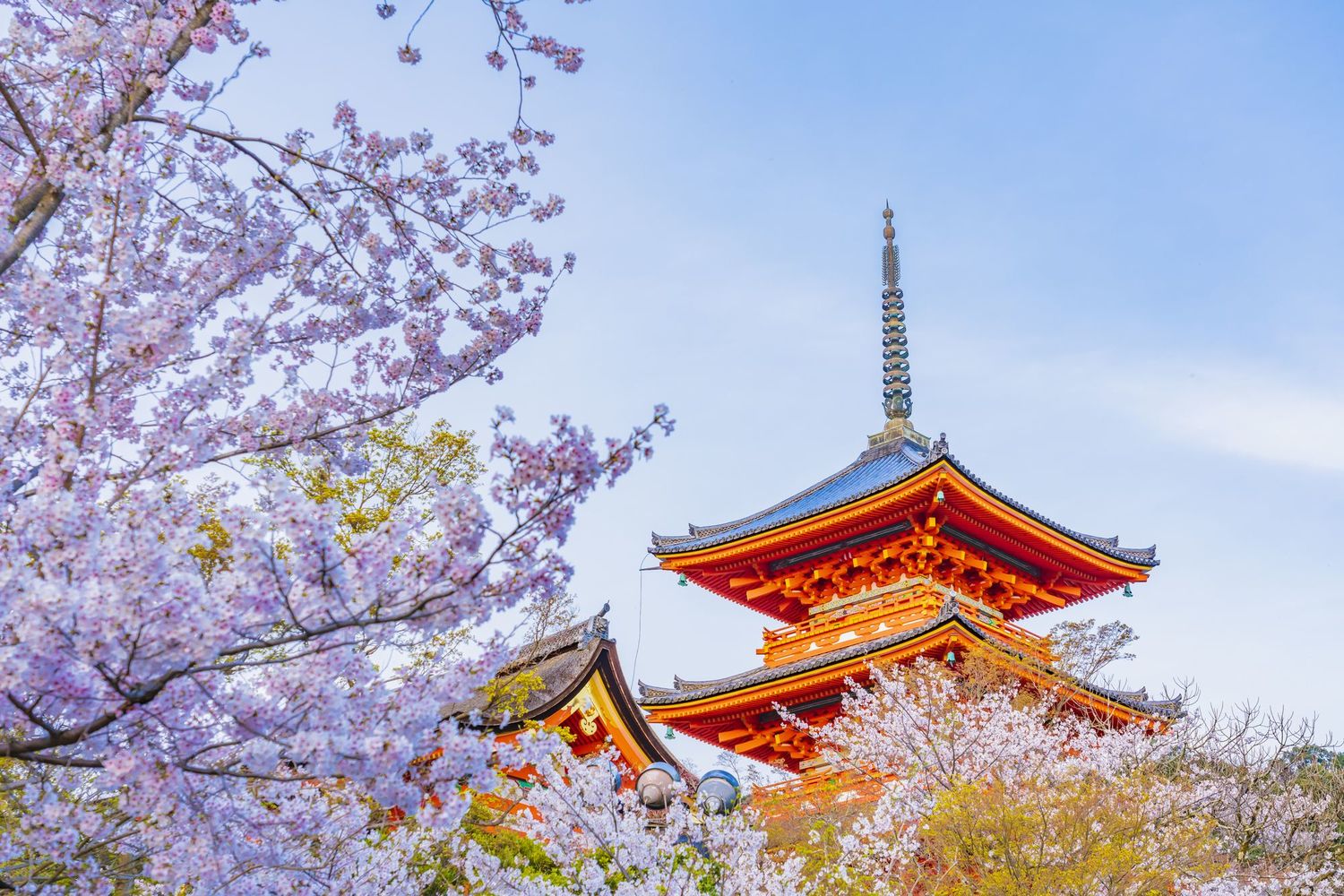 観光都市・京都を襲った未曾有の危機と歴史的転換点　これからの「京都らしさ」（第1回）